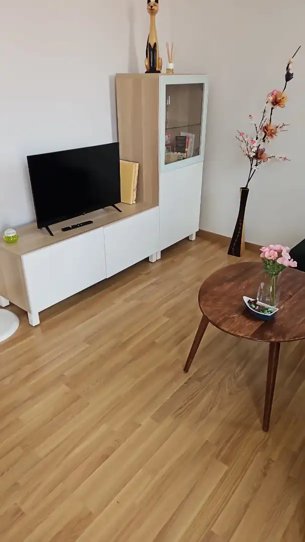 Apartments for rent in Rúa das Carretas, 32, Casco Histórico Living room of Apartments for rent in Santiago de Compostela with Furnished, Oven and Washing machine