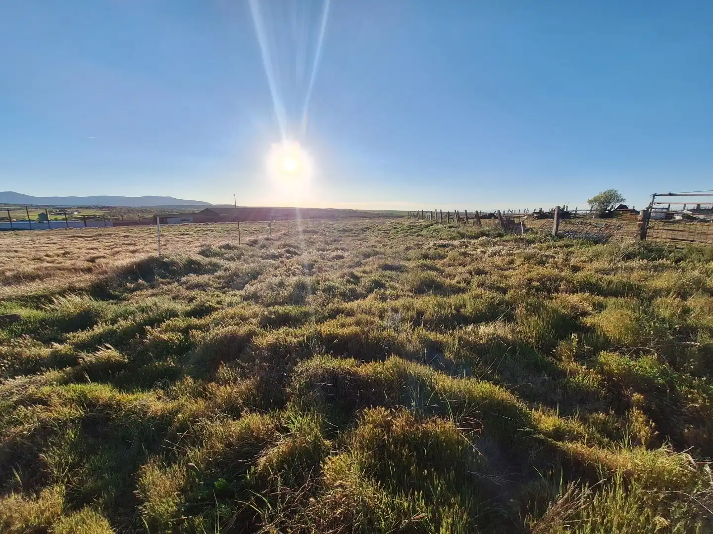 Land for sale in Menasalbas