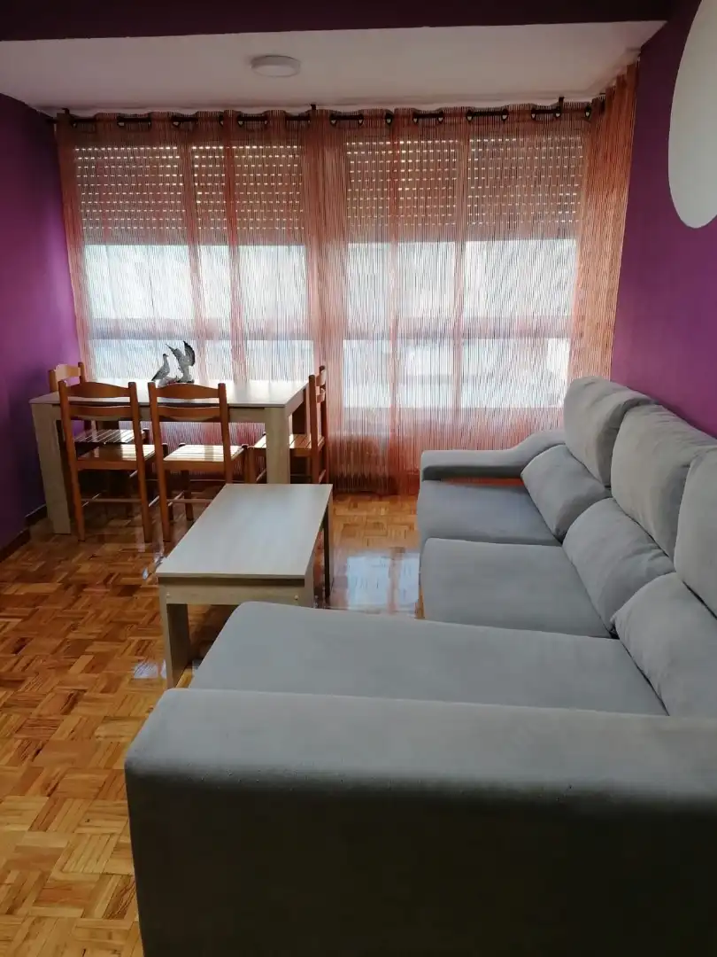 Sala de estar de Piso de alquiler en Ourense Capital  con Calefacción, Parquet y Amueblado
