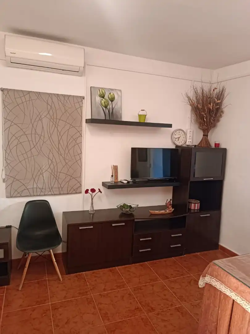 Sala d'estar de Estudi de lloguer en Antequera amb Aire condicionat, Jardí privat i Terrassa