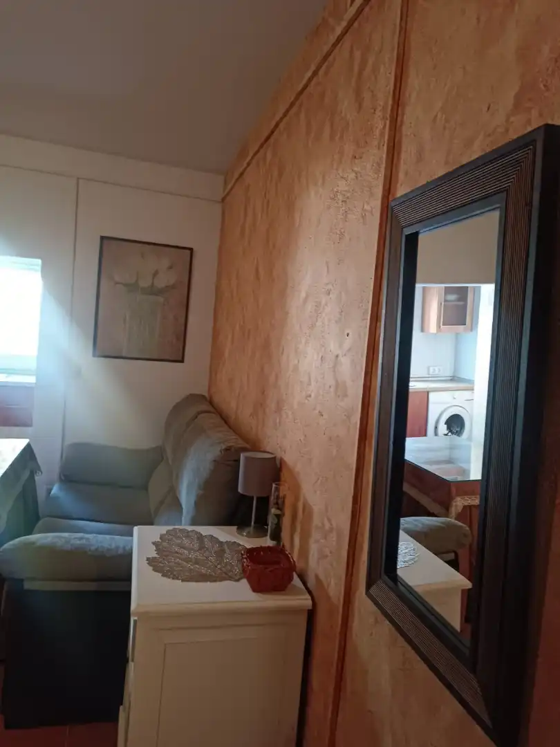 Sala d'estar de Estudi de lloguer en Antequera amb Aire condicionat, Jardí privat i Terrassa