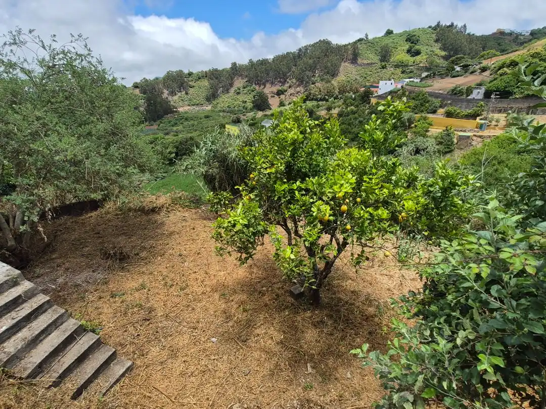 Ground floor for sale in Moya (Las Palmas)  with Private garden, Parquet flooring and Terrace