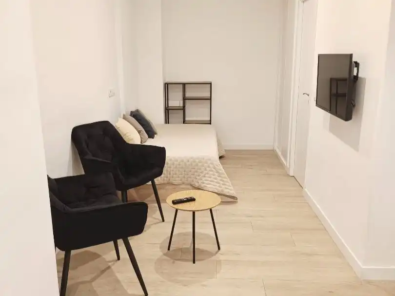 Estudi de lloguer a Paseo de la Castellana, 121, Castillejos - Cuzco Sala d'estar de Estudi de lloguer en Madrid amb Aire condicionat, Calefacció i Moblat
