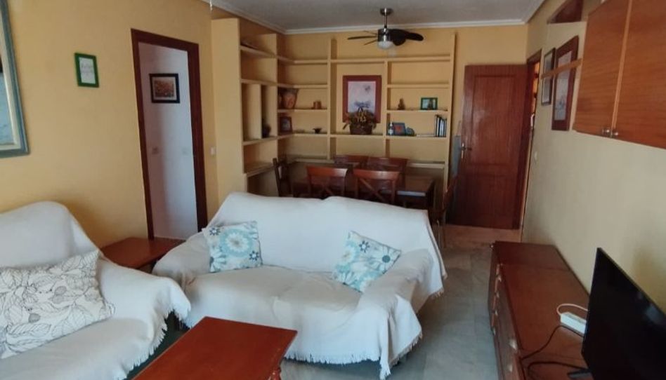 Habitació a Paseo de las Delicias, 3, El Retiro - La Vid, Jerez de la Frontera - imatge 1 Foto 1 de Habitació a Paseo de las Delicias, 3, El Retiro - La Vid, Jerez de la Frontera