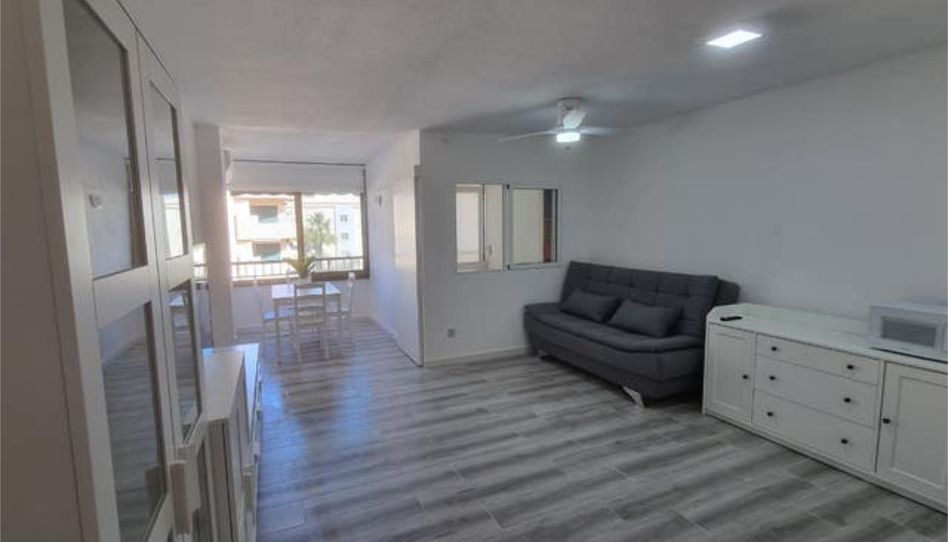 Apartamento de alquiler en Daimús, Valencia - imagen 1 Foto 1 de Apartamento de alquiler en Daimús, Valencia
