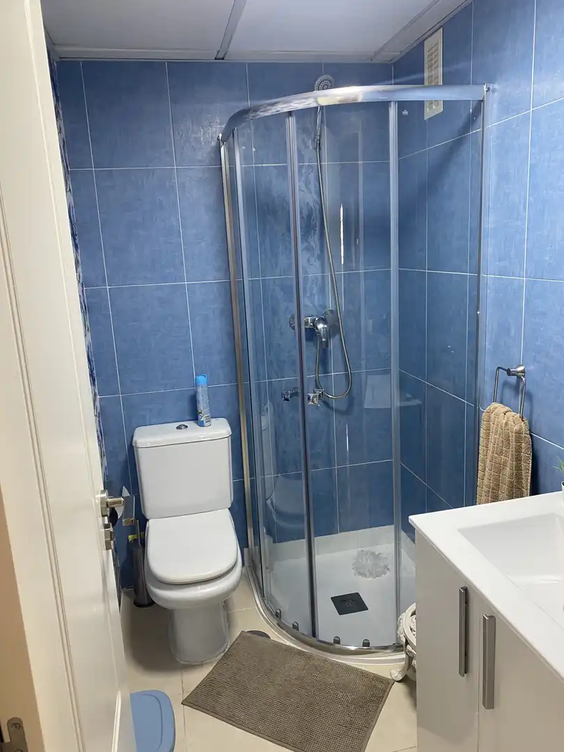 Piso de alquiler en Avenida Juan Carlos I, 100, Parque Central Baño de Piso de alquiler en Estepona con Aire acondicionado, Calefacción y Jardín privado
