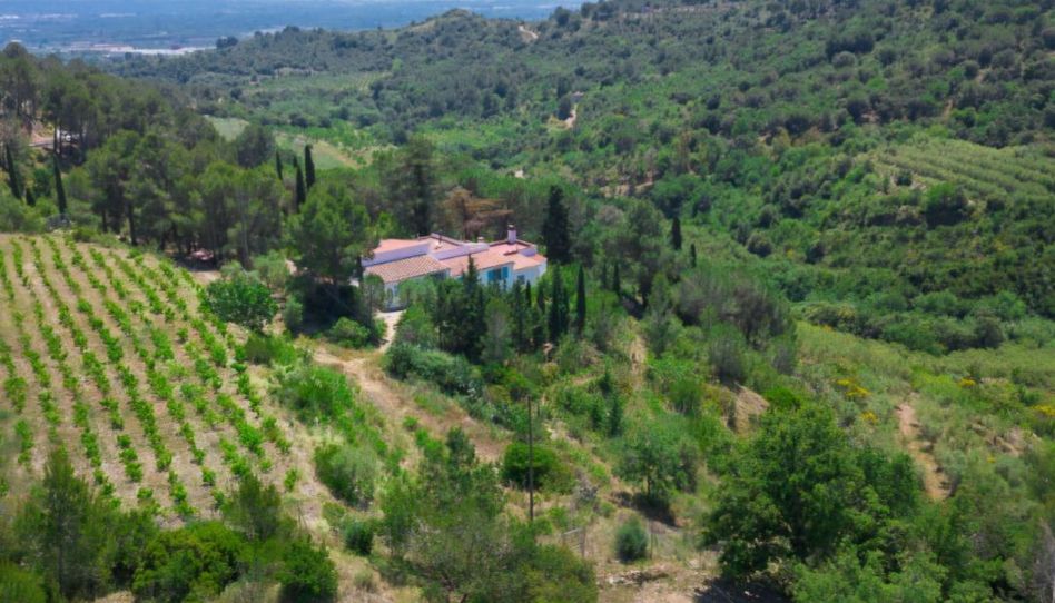 Finca rústica en venda a Partida Aubagues, 34, L'Albiol, Tarragona - imatge 1 Foto 1 de Finca rústica en venda a Partida Aubagues, 34, L'Albiol, Tarragona