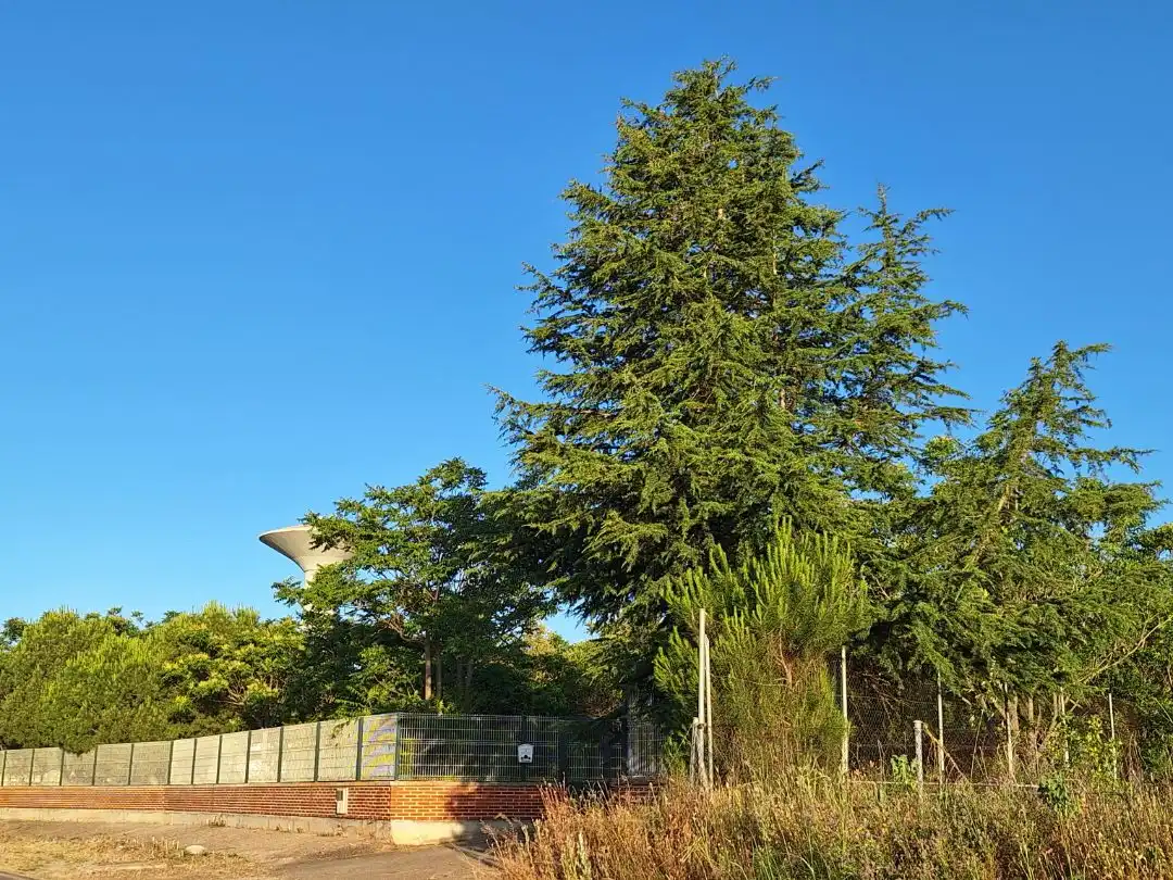 Garden of Houses for sale in Laguna de Duero  with Private garden