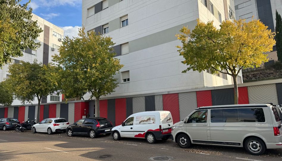 Piso de alquiler en Avenida Camino de Los Rostros, 5, Carretera de Sevilla - Los Montitos, Badajoz Capital - imagen 1 Foto 1 de Piso de alquiler en Avenida Camino de Los Rostros, 5, Carretera de Sevilla - Los Montitos, Badajoz Capital