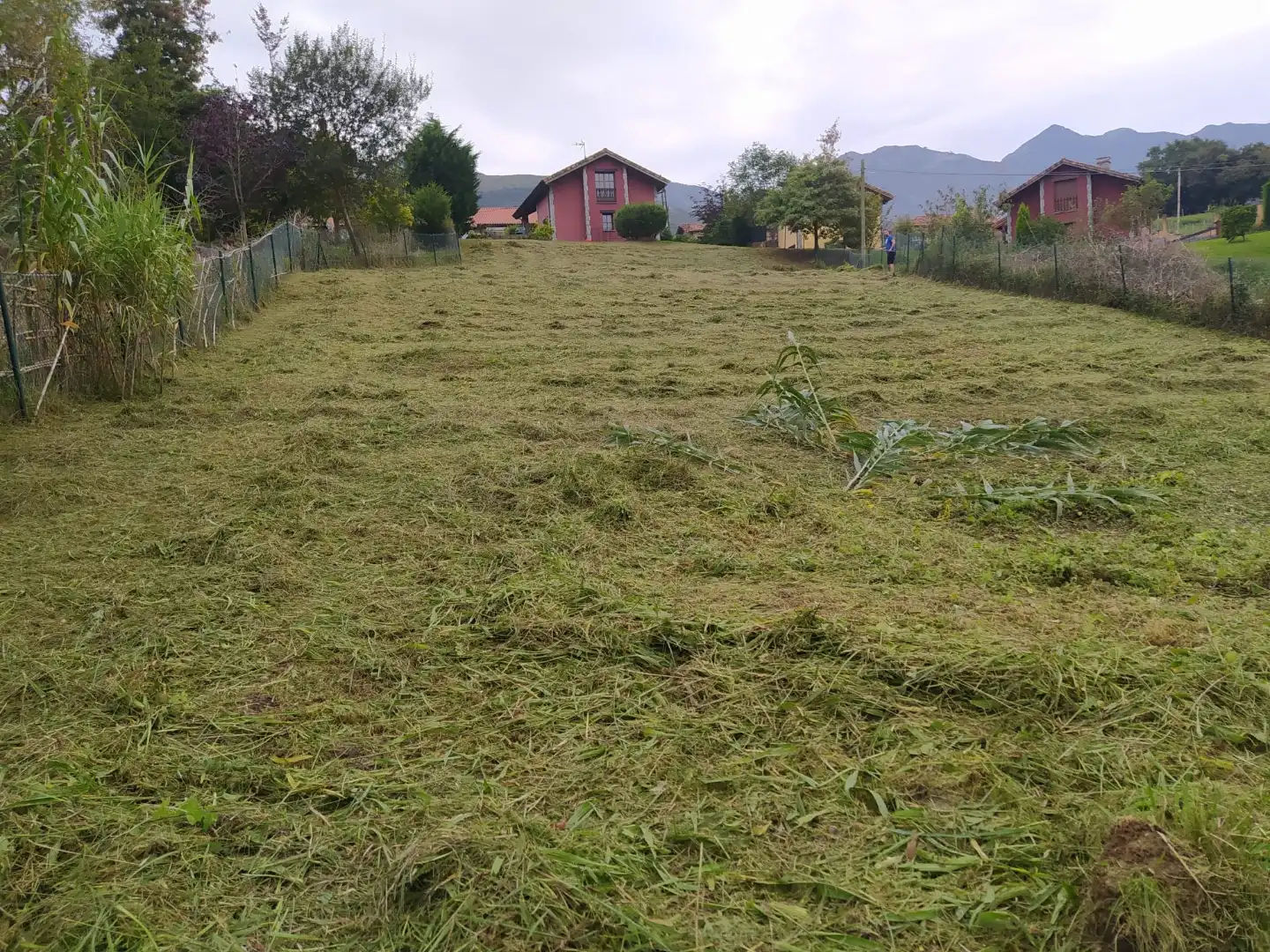 Casa o chalet en venta en Lugar la Borbolla, 86, Vidiago - Pendueles - Tresgrandas Casa o chalet en venta en Llanes con Calefacción, Jardín privado y Amueblado