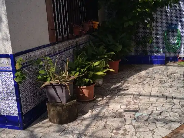 Planta baixa de lloguer a Avenida Sanlúcar de Barrameda, 2, Playa Cruz del Mar Planta baixa de lloguer a Avenida Sanlúcar de Barrameda, 2, Playa Cruz del Mar