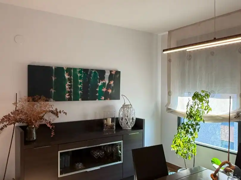 Flat for rent in Passeig de la Universitat, 6, Estación - Universidad Flat for rent in Passeig de la Universitat, 6, Estación - Universidad