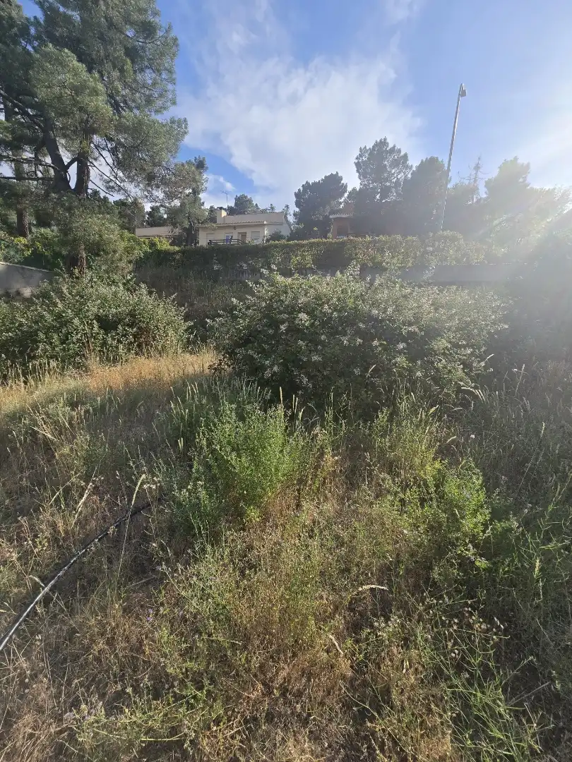 Land for sale in Calle Avenida de San Antonio, 8, Vegas de Matute Land for sale in Vegas de Matute