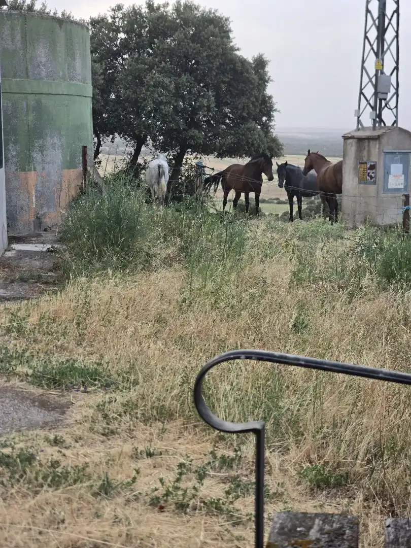 Land for sale in Calle Avenida de San Antonio, 8, Vegas de Matute Exterior view of Land for sale in Vegas de Matute