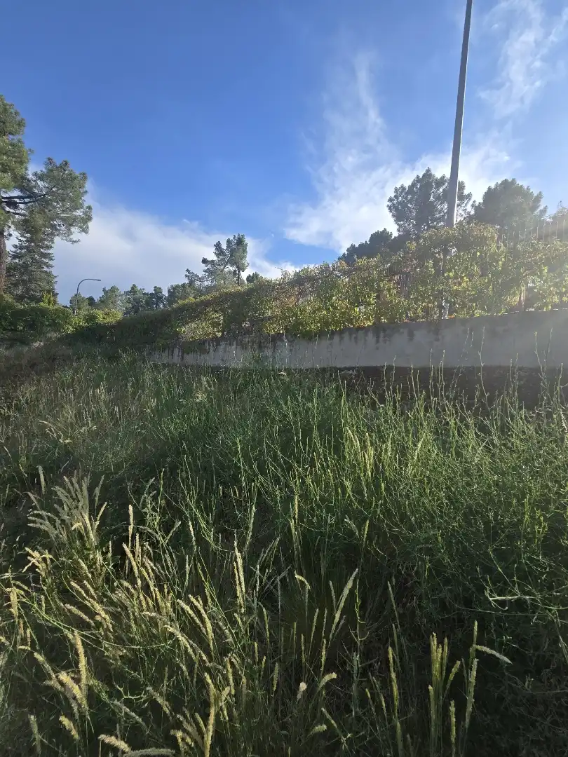Land for sale in Calle Avenida de San Antonio, 8, Vegas de Matute Land for sale in Vegas de Matute
