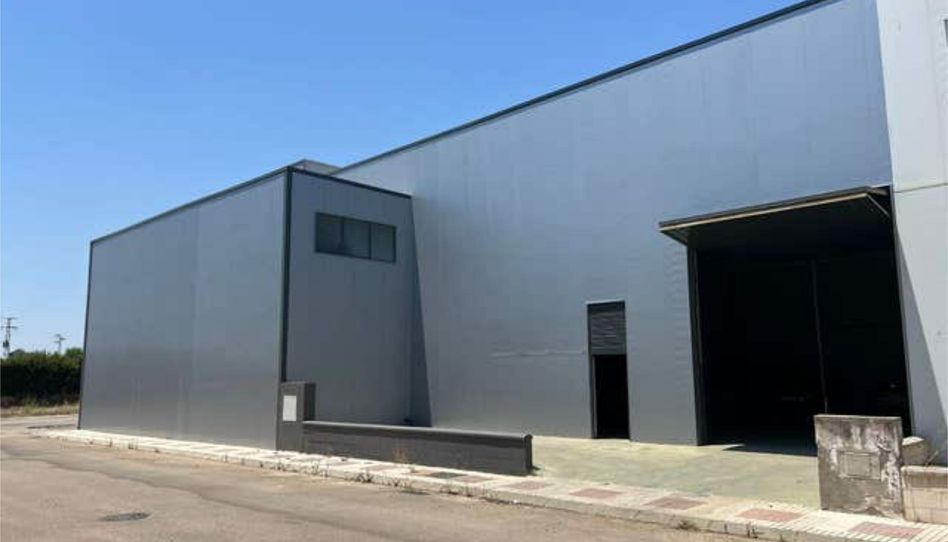 Industrial buildings for rent in Alcalá del Río, Sevilla - image 1 Photo 1 of Industrial buildings for rent in Alcalá del Río, Sevilla