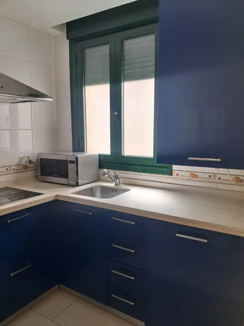 Pis en venda a Calle Luis Sala Balust, 17, Pizarrales Cuina de Pis en venda en Salamanca amb Balcó
