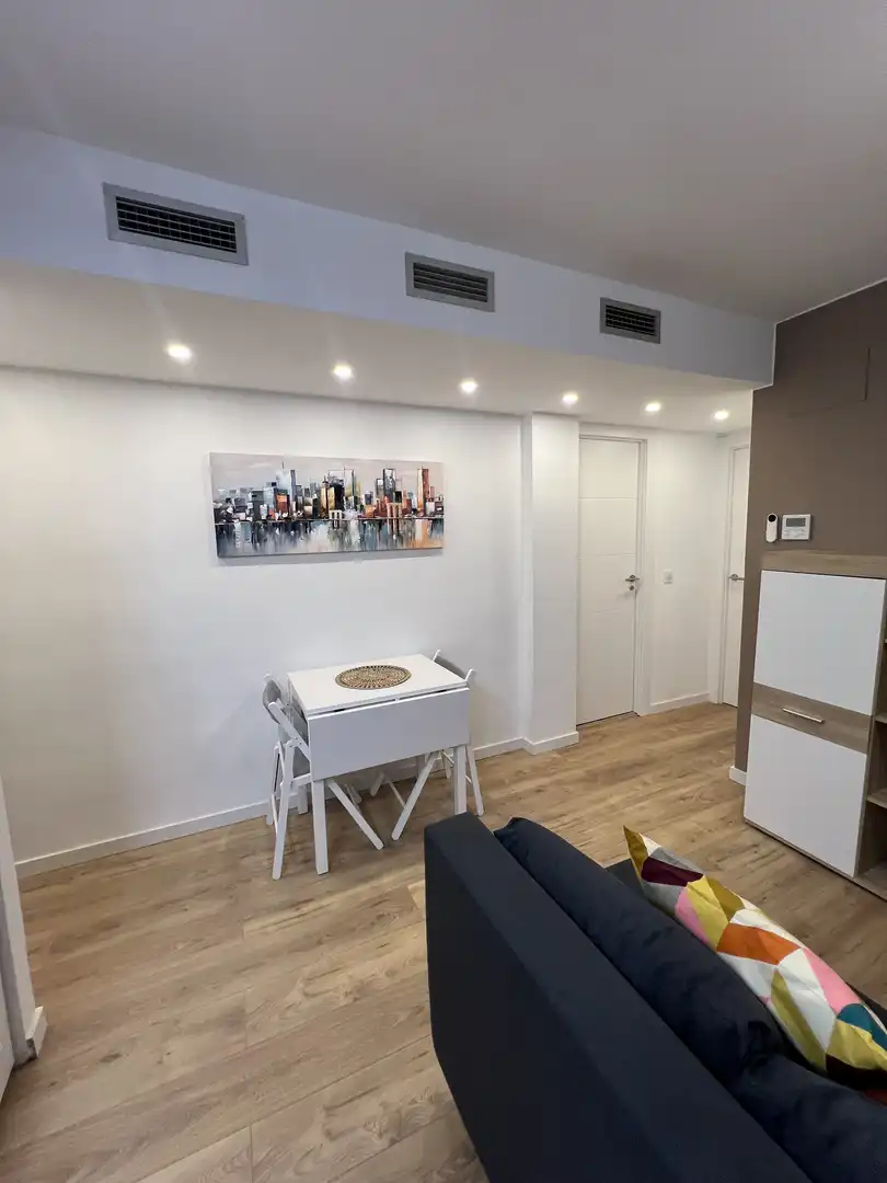 Living room of Flat for rent in  Zaragoza Capital  with Air Conditioner and Balcony