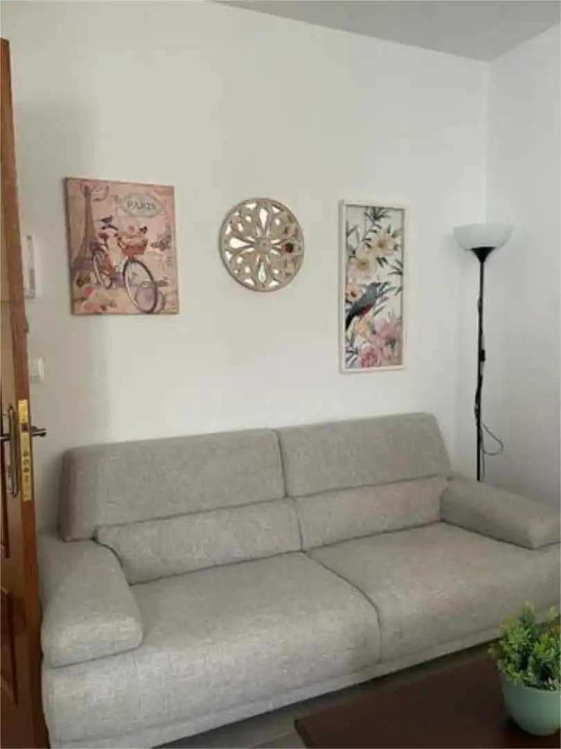 Sala d'estar de Apartament de lloguer en Brenes