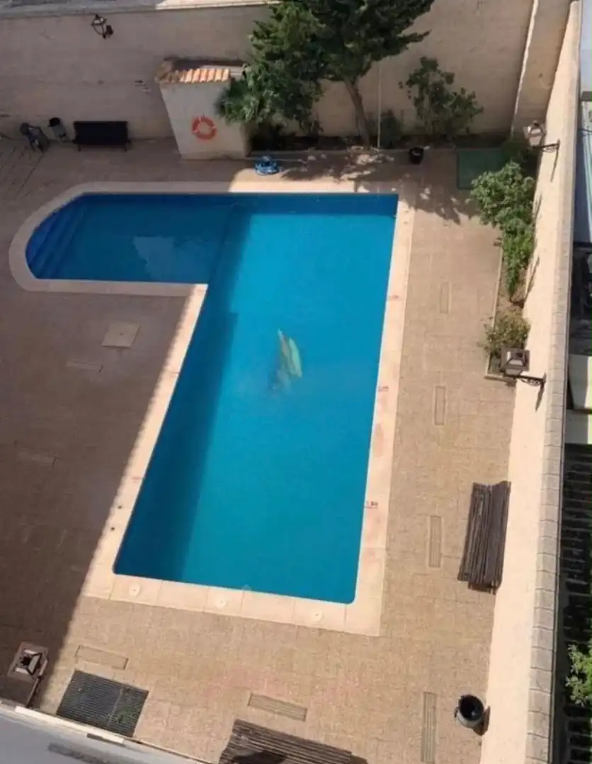 Swimming pool of Flat for rent in Miguel Esteban  with Air Conditioner, Heating and Private garden