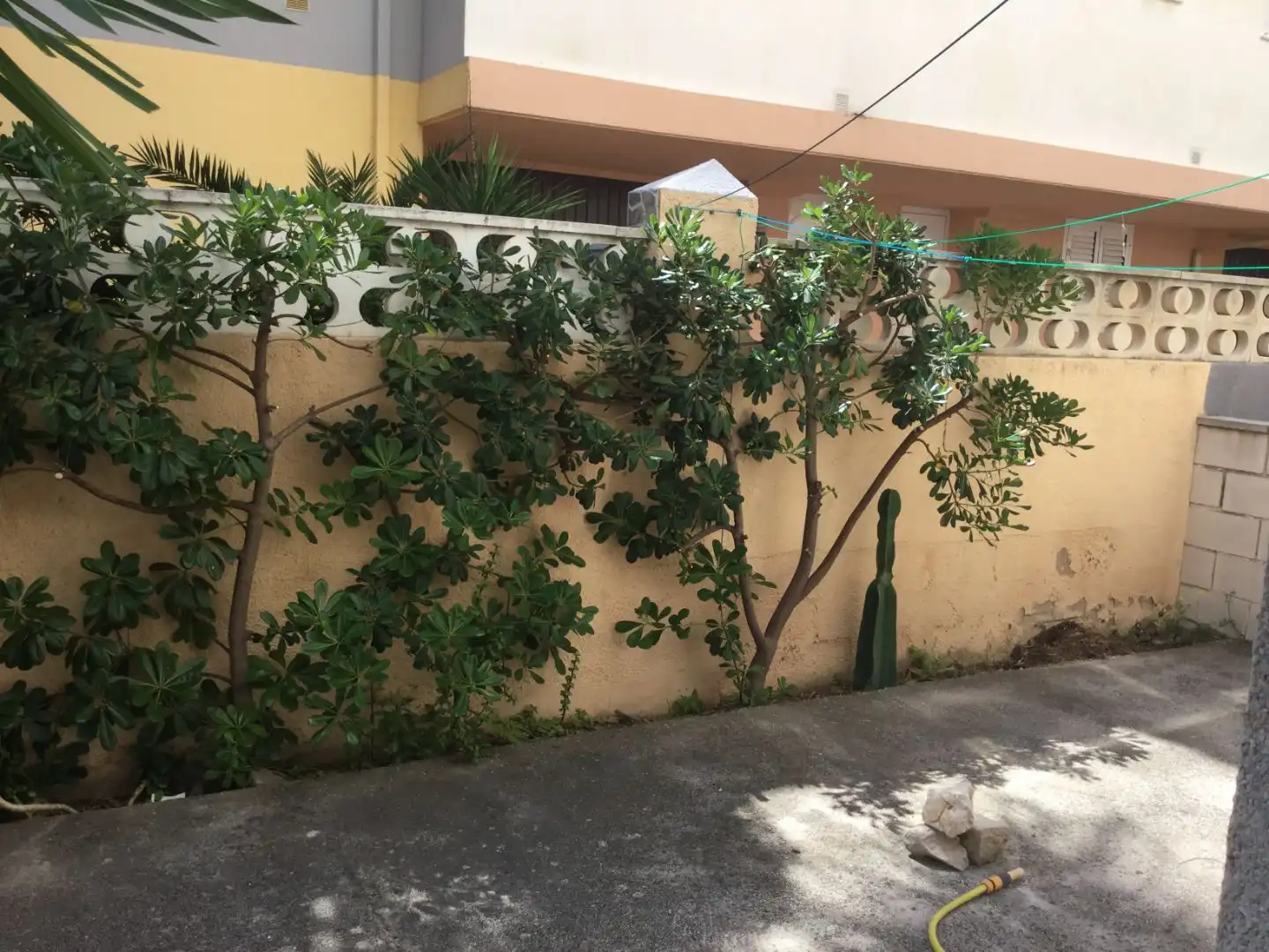 Wohnungen zum Verkauf in Carrer D'argelers, 20, Oliva Garten von Wohnungen zum Verkauf in Oliva mit Klimaanlage und Terrasse