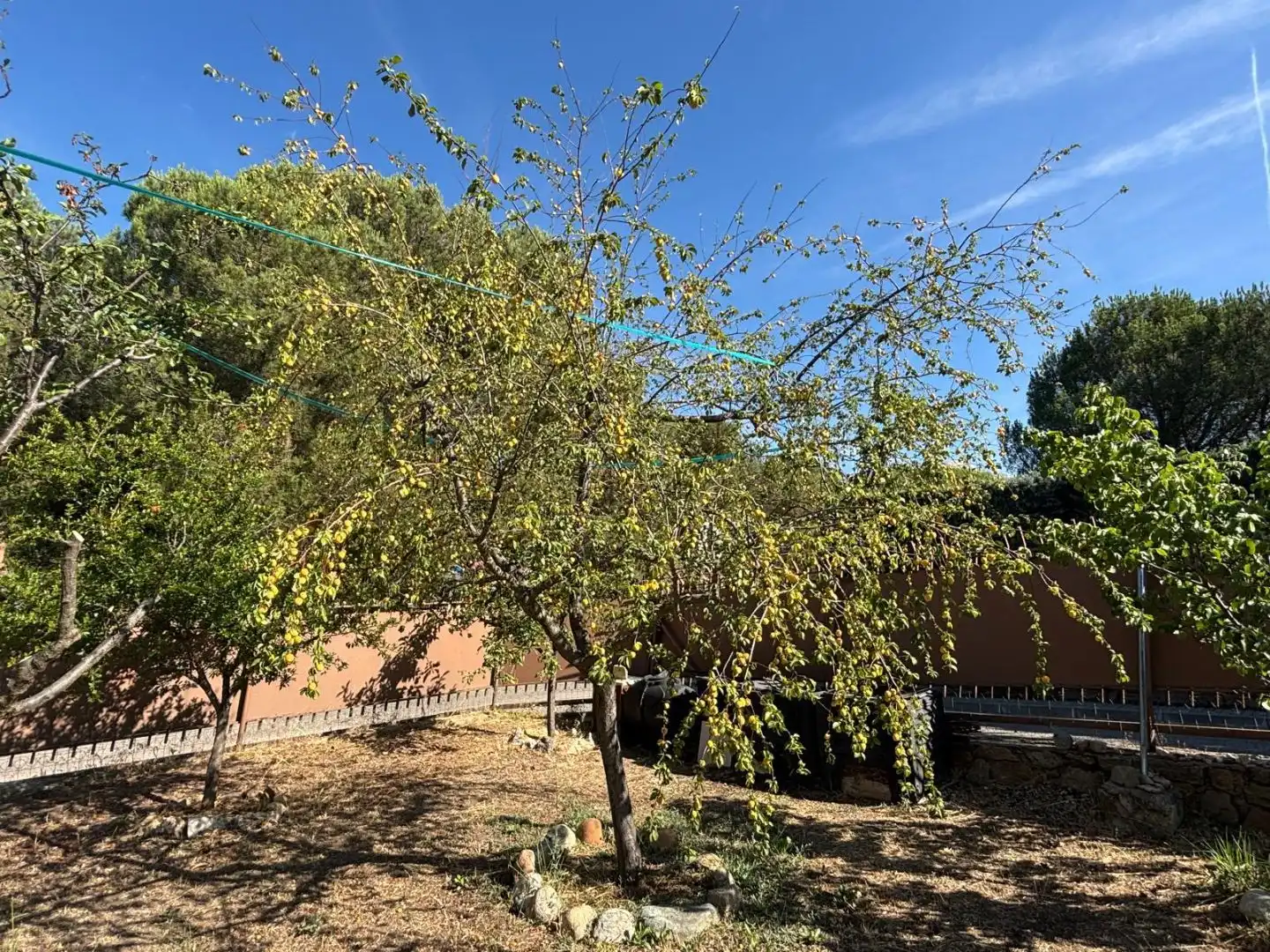 Houses for sale in Calle del Duero, 15, Manzanares El Real Garden of Houses for sale in Manzanares El Real with Air Conditioner, Heating and Private garden