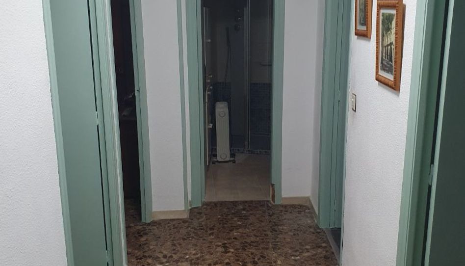 Wohnung zur Miete in Avenida Constitución, 45, San Juan, Aspe - Bild 1 Foto 1 von Wohnung zur Miete in Avenida Constitución, 45, San Juan, Aspe