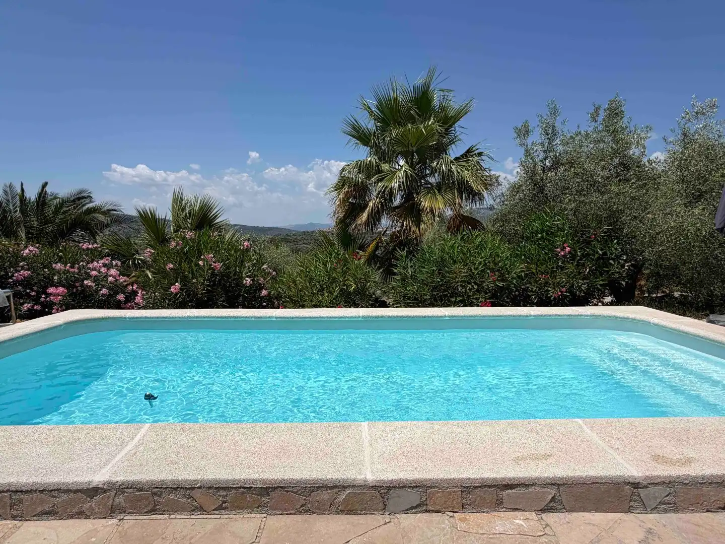 Finca rústica en venda a Traiguera Piscina de Finca rústica en venda en Traiguera amb Jardí privat, Terrassa i Piscina