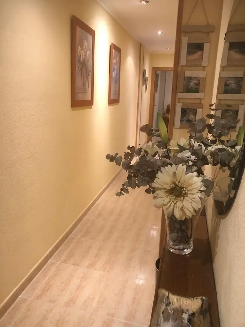 Flat for rent in Avenida Álvarez Guerra, 12, Alcázar de San Juan Flat for rent in Alcázar de San Juan with Air Conditioner