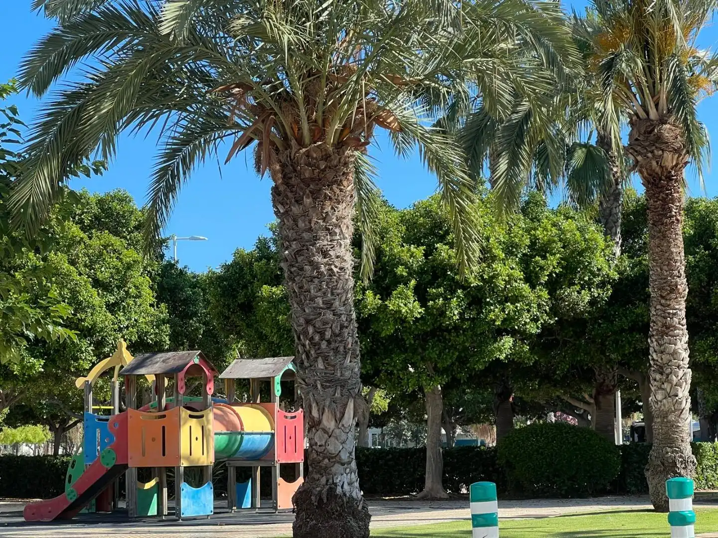 Wohnungen zur Miete in Passeig Maritim 9 D'octubre, 1, Canet d'En Berenguer Wohnungen zur Miete in Canet d'En Berenguer mit Terrasse und Schwimmbad