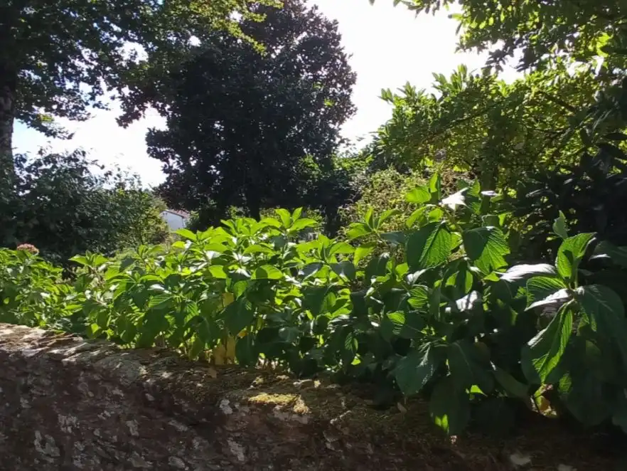 Pis en venda a Ribela, 29, Lalín Pis en venda en Lalín amb Jardí privat