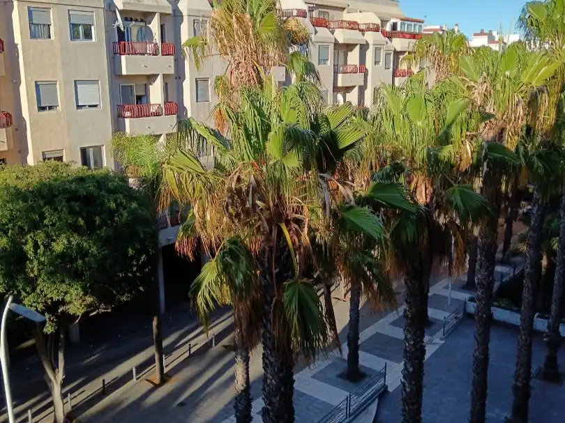 Exterior view of Flat for rent in San Cristóbal de la Laguna  with Furnished