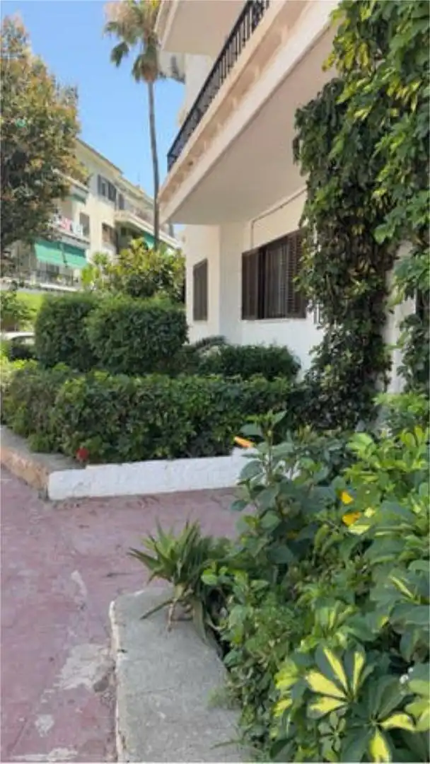 Flat for rent in Solymar Garden of Flat for rent in Benalmádena with Private garden