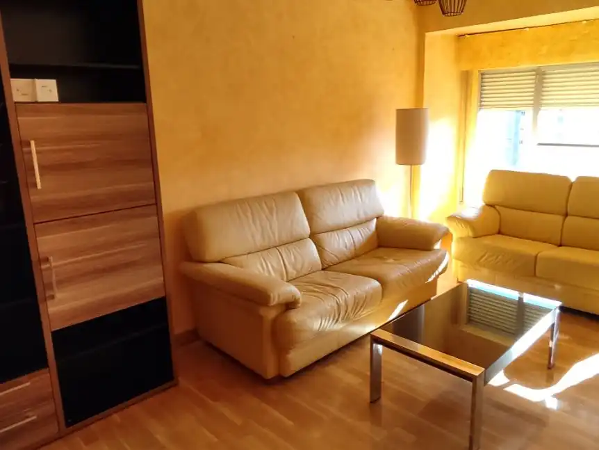 Piso de alquiler en Calle Albia de Castro, 10, Residencia Sala de estar de Piso de alquiler en Logroño con Calefacción, Parquet y Amueblado
