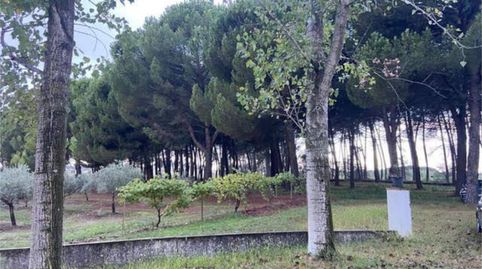 Detached homes for rent in Majadas, Cáceres - image 4 Photo 4 of Detached homes for rent in Majadas, Cáceres