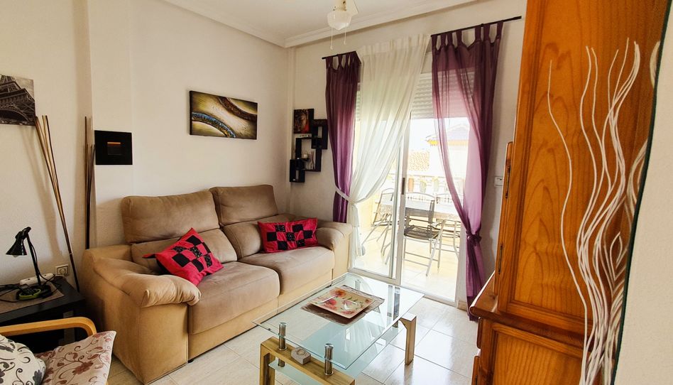 Apartament de lloguer a Avenida Delfina Viudes, 61, Parque Acuático - Sector 25, Torrevieja - imatge 1 Foto 1 de Apartament de lloguer a Avenida Delfina Viudes, 61, Parque Acuático - Sector 25, Torrevieja