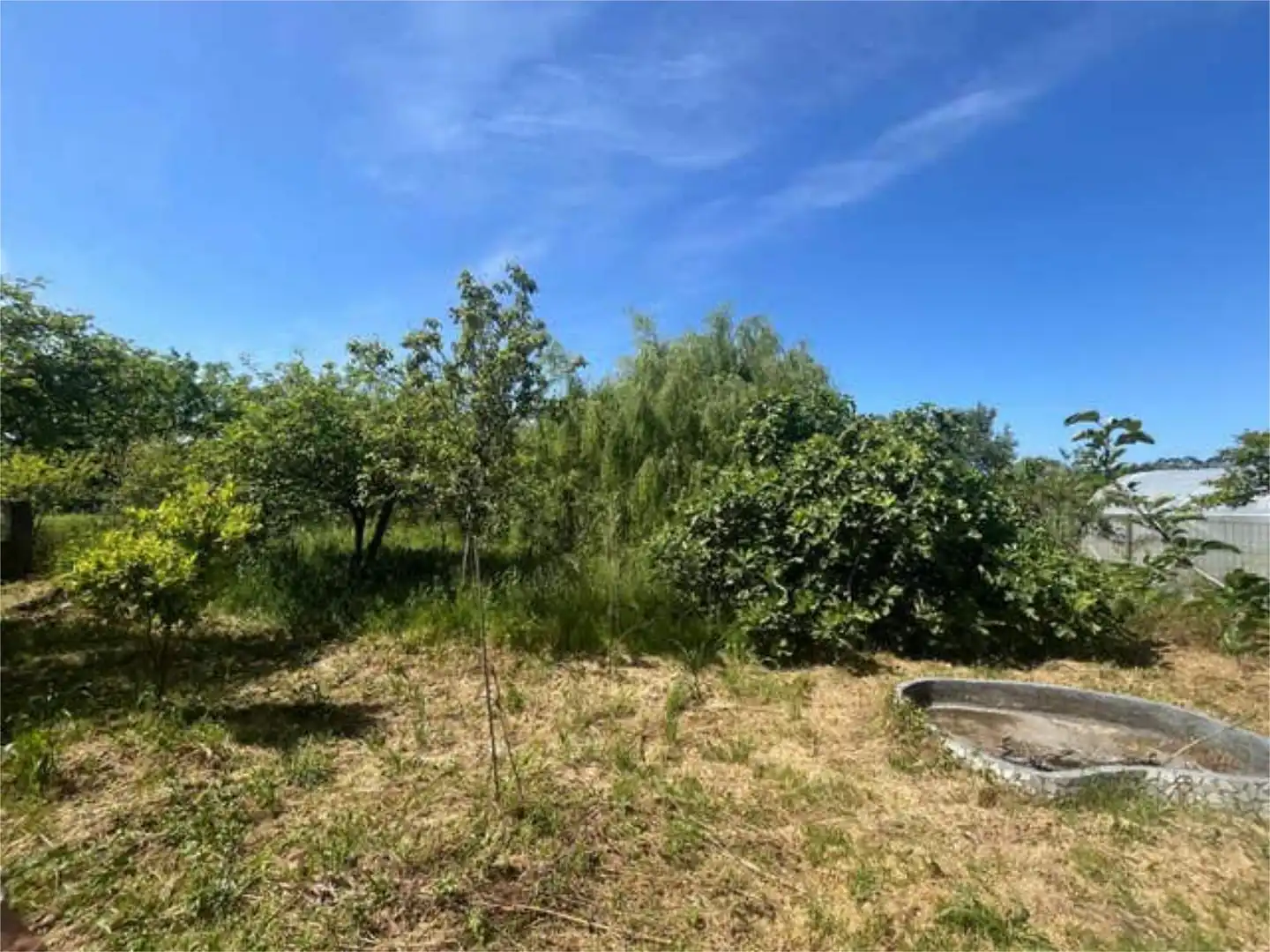 Casa o chalet en venta en Coristanco Casa o chalet en venta en Coristanco con Jardín privado