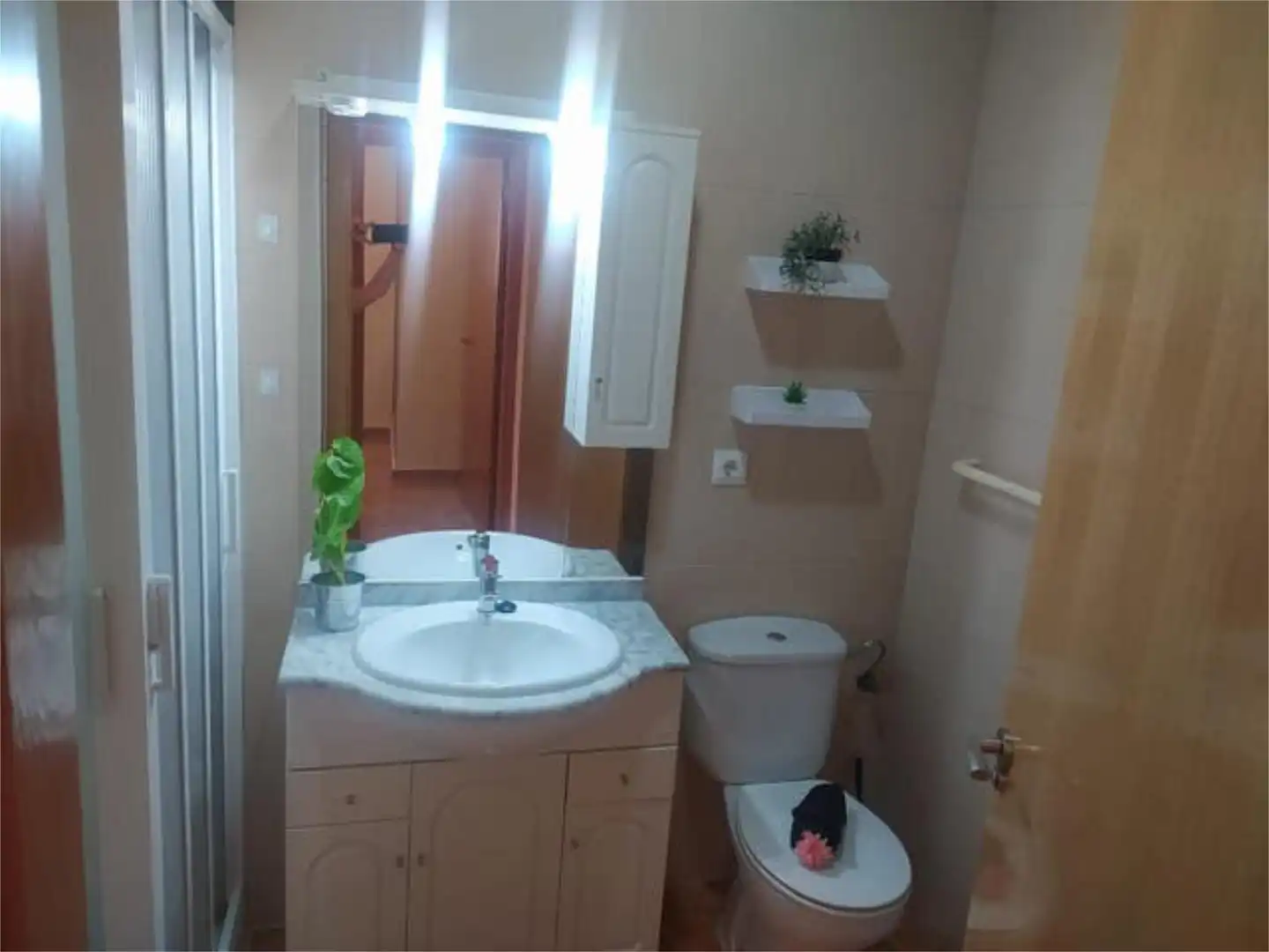 Bathroom of Flat for rent in Murcia