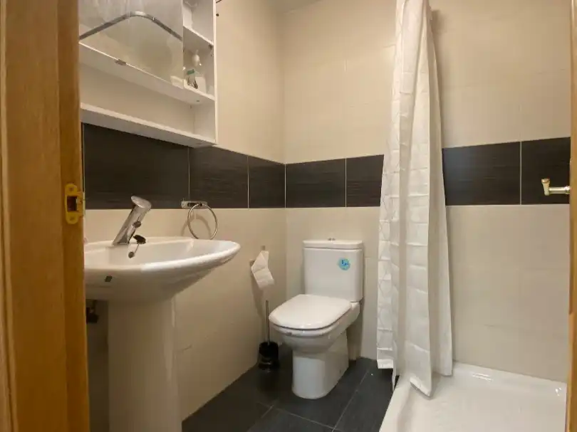 Flat for rent in Calle Benito Arias Montano, 34, San Esteban Bathroom of Flat for rent in León Capital with Heating, Parquet flooring and Furnished