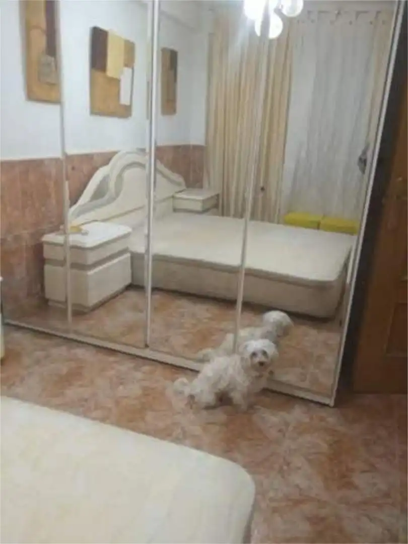 Flat for sale in Casco Histórico de Vallecas Bedroom of Flat for sale in Madrid with Storage room and Furnished