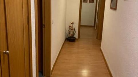 Flat for rent in San Carlos - San José, Sevilla Capital - image 2 Photo 2 of Flat for rent in San Carlos - San José, Sevilla Capital