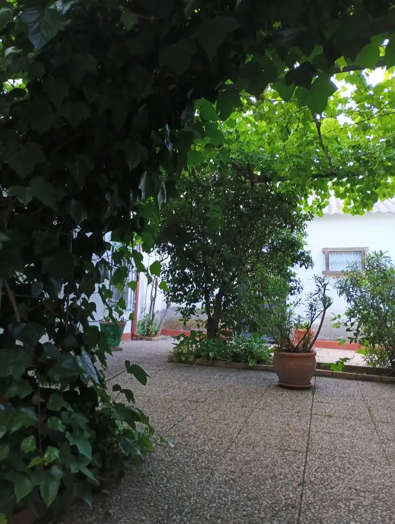 Jardí de Casa adosada en venda en Torralba de Calatrava amb Calefacció, Jardí privat i Terrassa