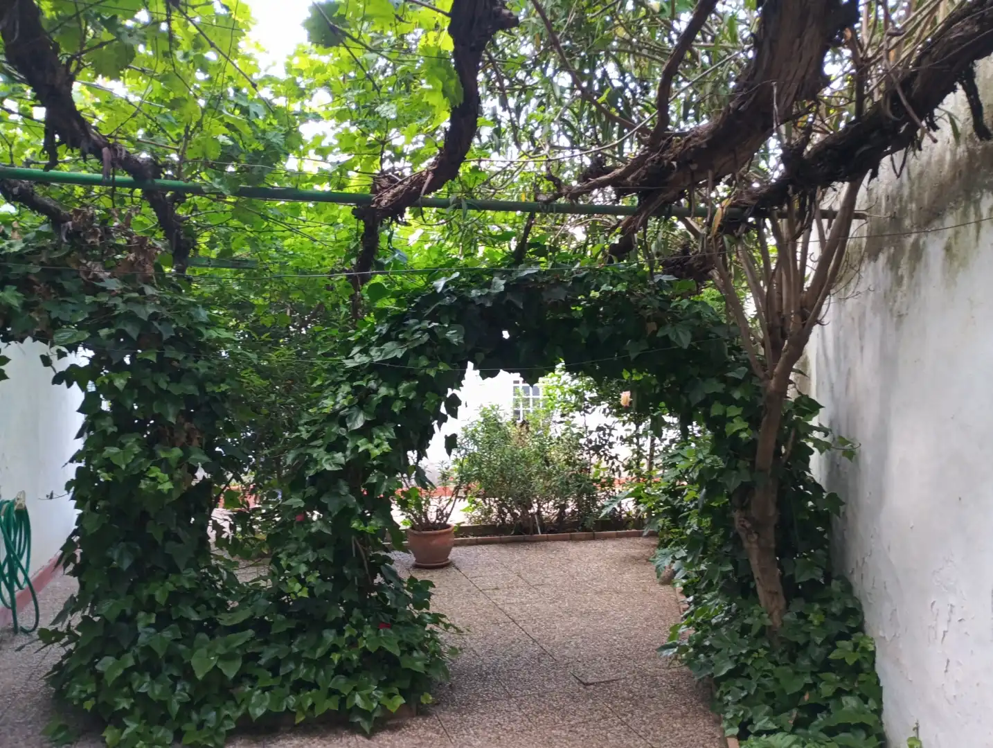 Jardí de Casa adosada en venda en Torralba de Calatrava amb Calefacció, Jardí privat i Terrassa