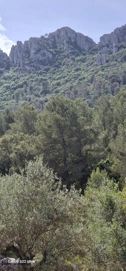 Country homes for sale in Barri Pla de Corrals, 258, Simat de la Valldigna Country homes for sale in Barri Pla de Corrals, 258, Simat de la Valldigna