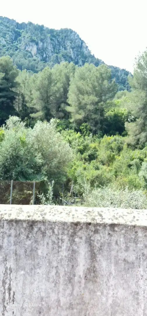 Country homes for sale in Barri Pla de Corrals, 258, Simat de la Valldigna Country homes for sale in Barri Pla de Corrals, 258, Simat de la Valldigna