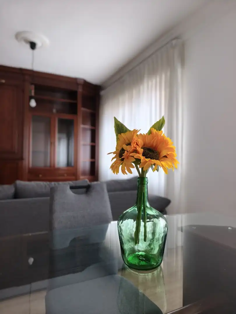 Wohnzimmer von Wohnung zur Miete in Langreo mit Heizung, Parkett und Möbliert