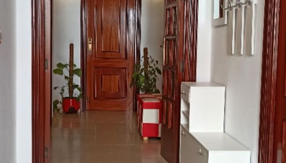 Casa o chalet de alquiler en Calle San Francisco de Borja, 16, Fuente Palmera, Córdoba - imagen 1 Foto 1 de Casa o chalet de alquiler en Calle San Francisco de Borja, 16, Fuente Palmera, Córdoba