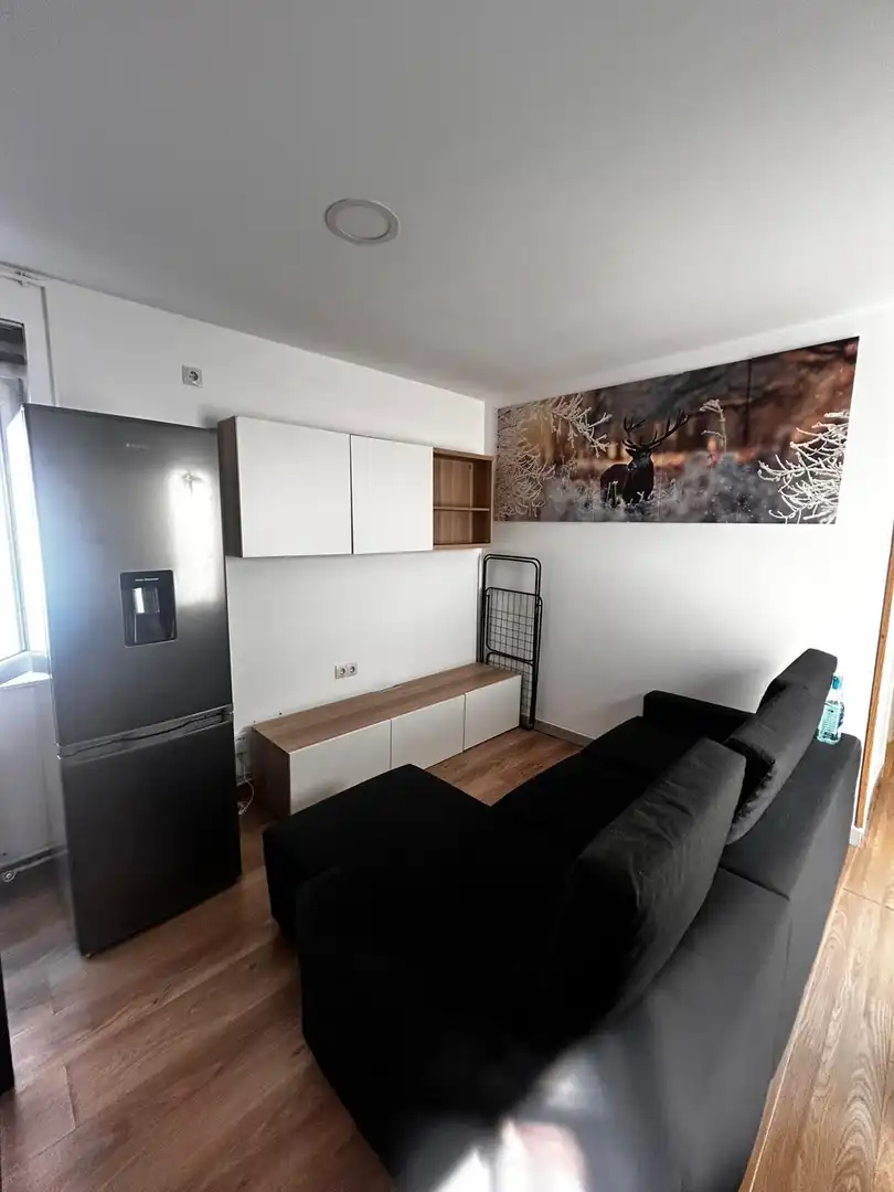 Piso de alquiler en Calle Reyes Católicos, 14, San Mamés - La Palomera