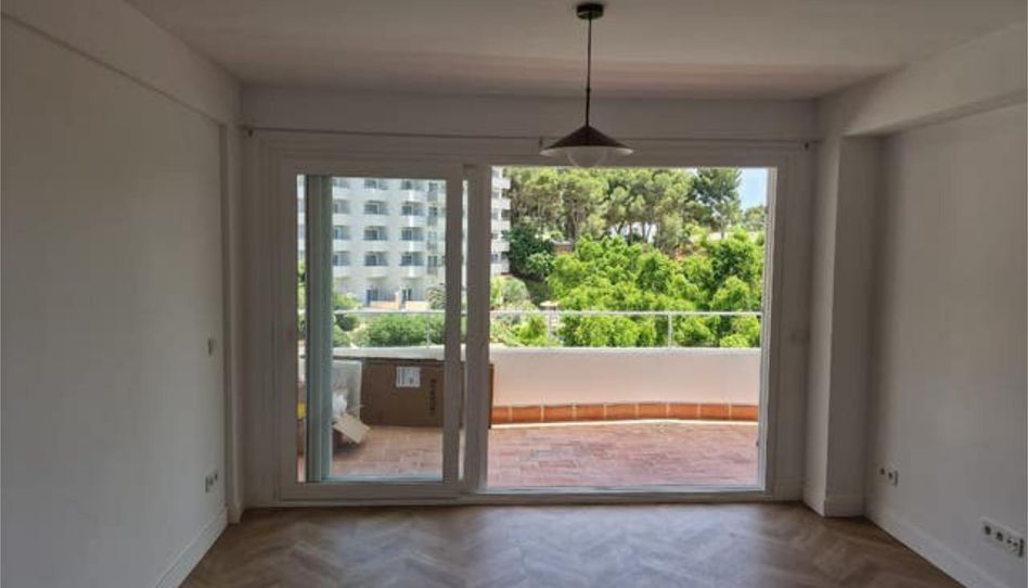 Apartament de lloguer a Portals Nous, Calvià - imatge 1 Foto 1 de Apartament de lloguer a Portals Nous, Calvià