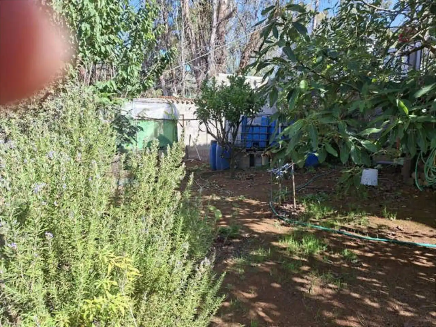 Houses for sale in Firgas Garden of Houses for sale in Firgas with Private garden